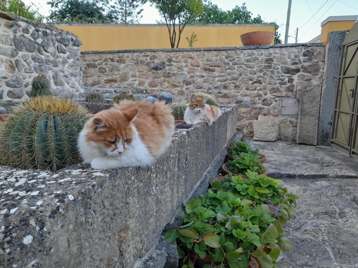 Casarao Do Largo Da Eira Διαμέρισμα Tomar Εξωτερικό φωτογραφία