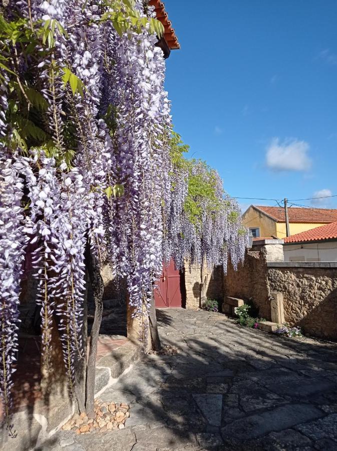 Casarao Do Largo Da Eira Διαμέρισμα Tomar Εξωτερικό φωτογραφία