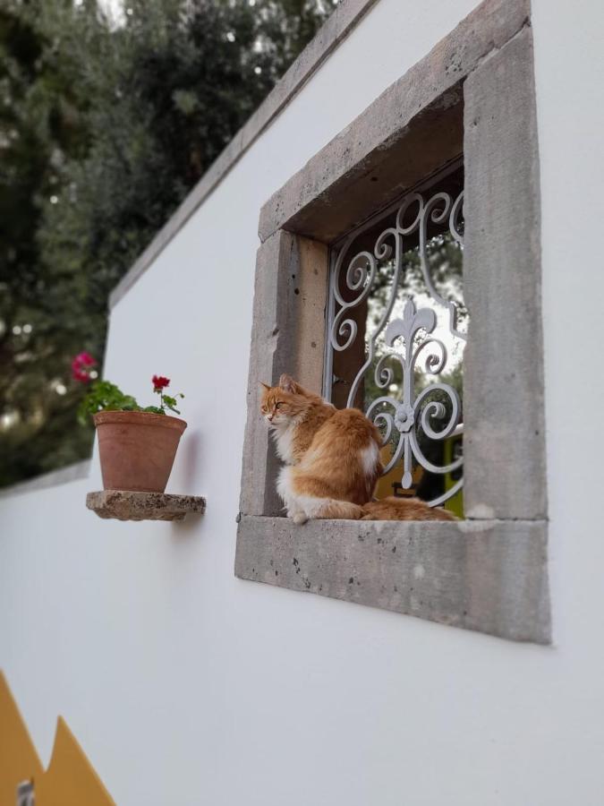 Casarao Do Largo Da Eira Διαμέρισμα Tomar Εξωτερικό φωτογραφία